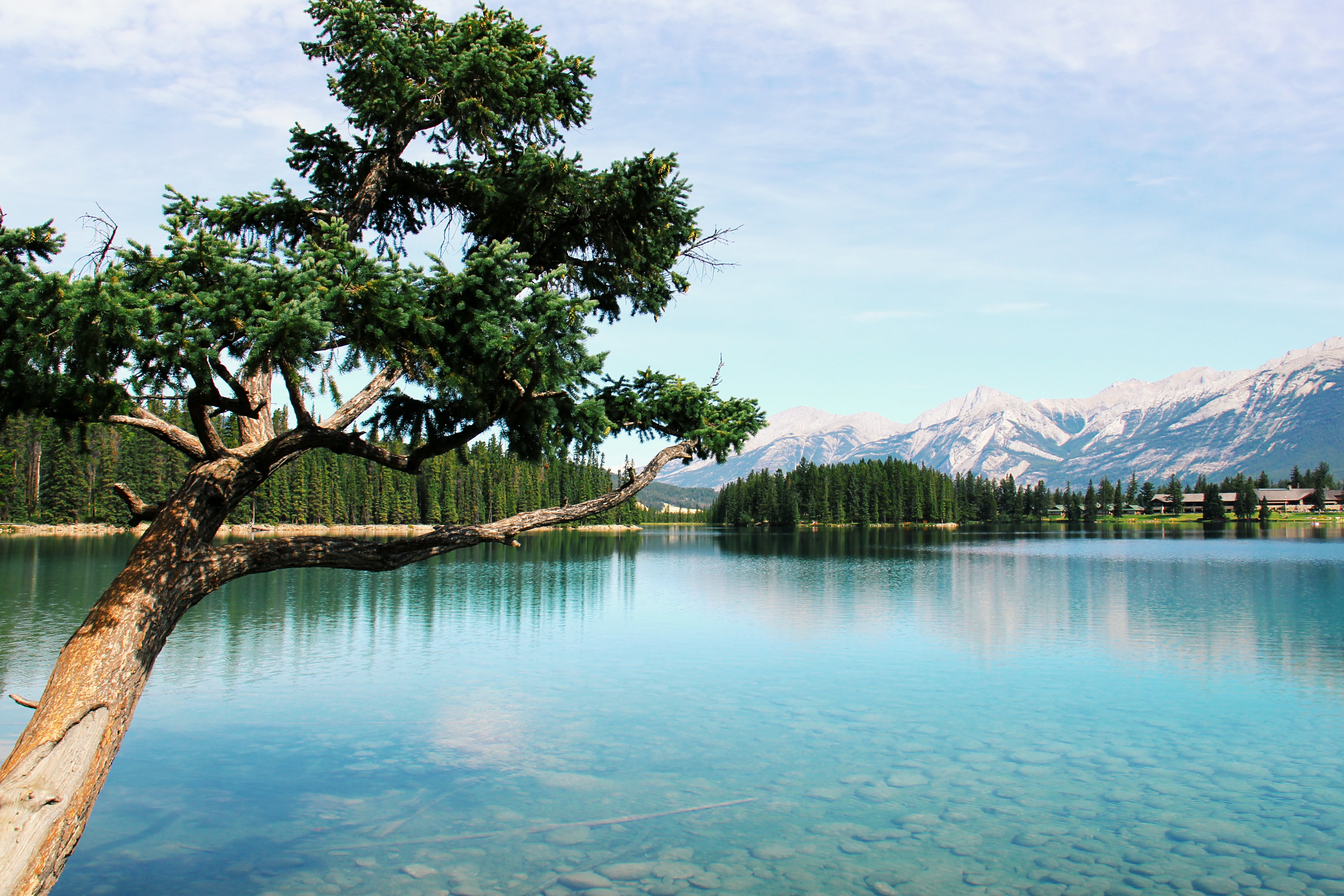 Canada and New York 2011 40